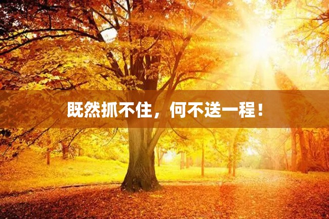 既然抓不住,何不送一程!