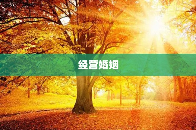 经营婚姻