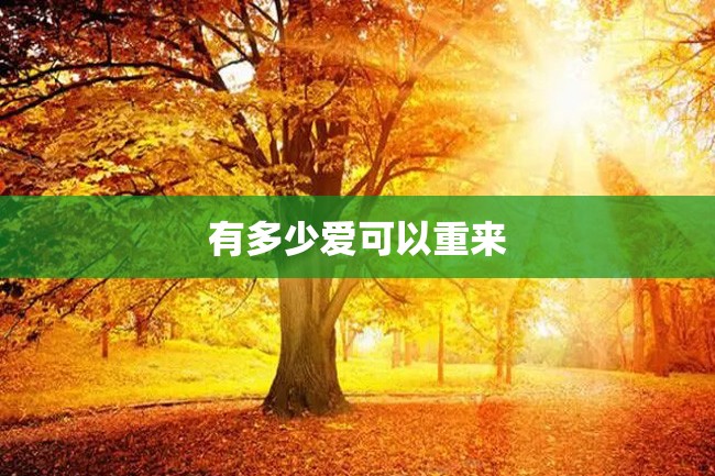 有多少爱可以重来