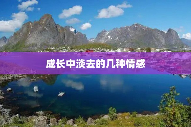 成长中淡去的几种情感