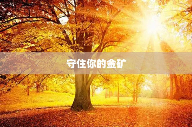 守住你的金矿