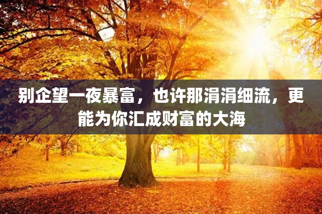 别企望一夜暴富,也许那涓涓细流,更能为你汇成财富的大海
