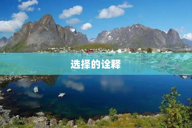 选择的诠释