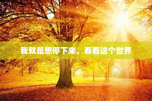 我就是想停下来,看看这个世界