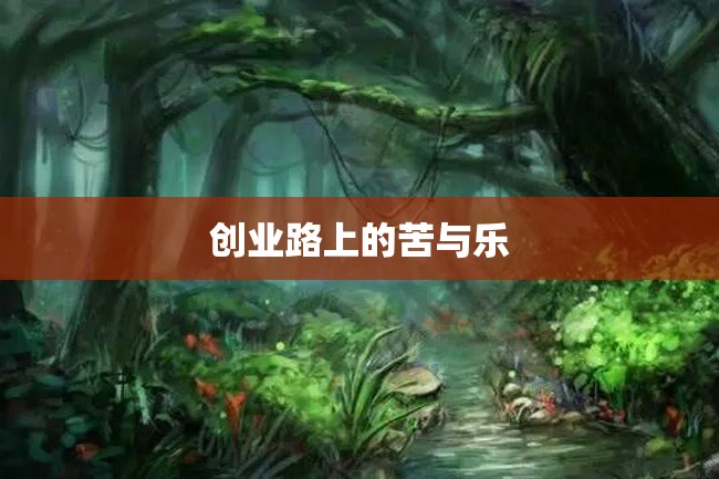 创业路上的苦与乐
