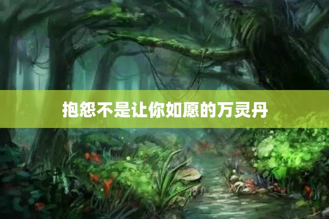 抱怨不是让你如愿的万灵丹