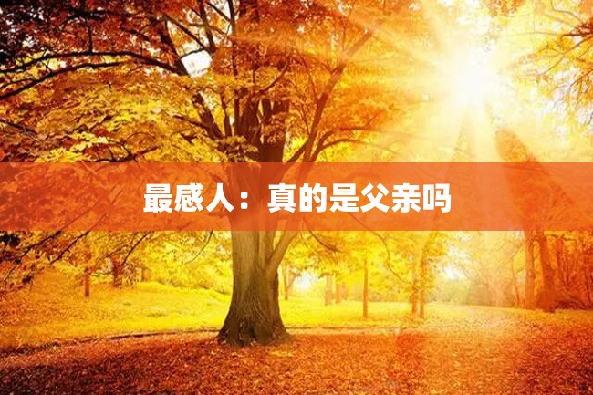 最感人:真的是父亲吗