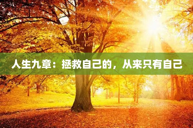 人生九章:拯救自己的,从来只有自己