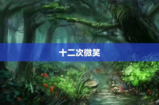 十二次微笑