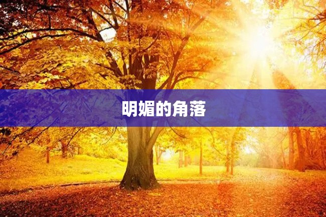 明媚的角落