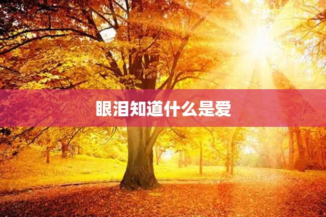眼泪知道什么是爱
