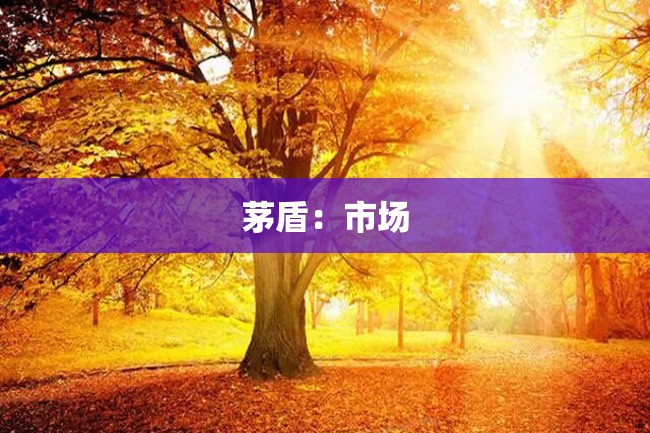 茅盾:市场