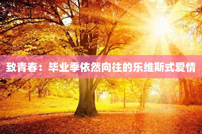 致青春:毕业季依然向往的乐维斯式爱情