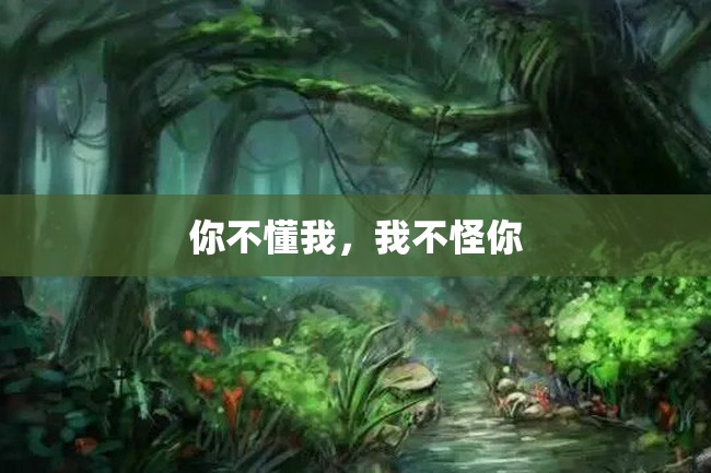 你不懂我,我不怪你