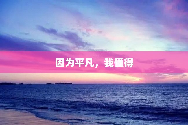 因为平凡,我懂得