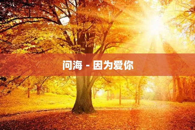 问海-因为爱你