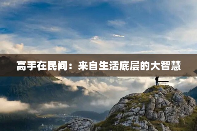 高手在民间:来自生活底层的大智慧