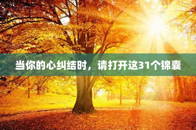 当你的心纠结时,请打开这31个锦囊