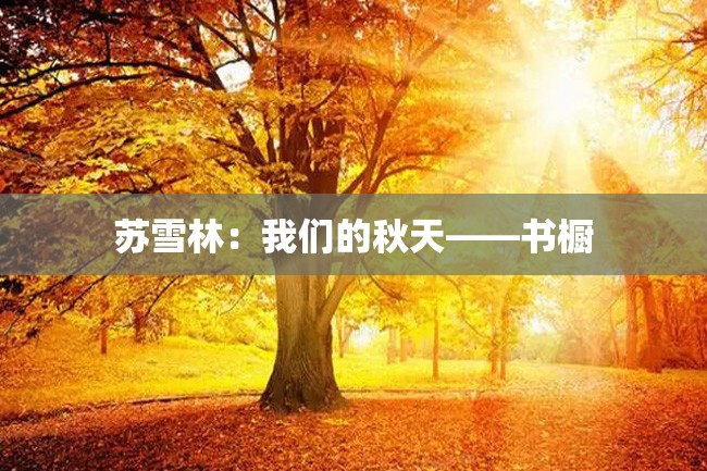苏雪林:我们的秋天——书橱