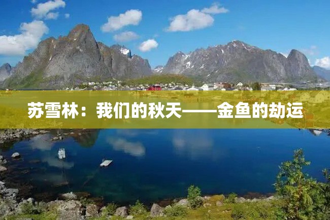 苏雪林:我们的秋天——金鱼的劫运