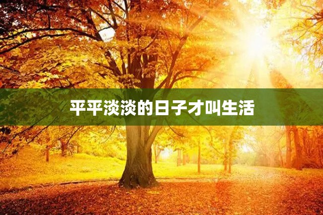 平平淡淡的日子才叫生活