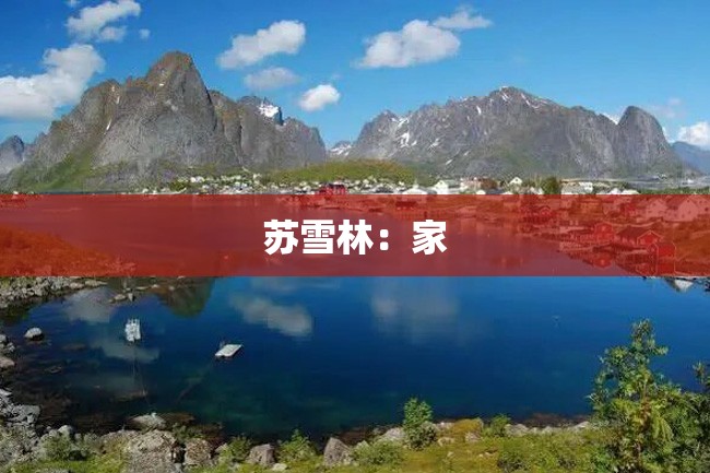 苏雪林:家