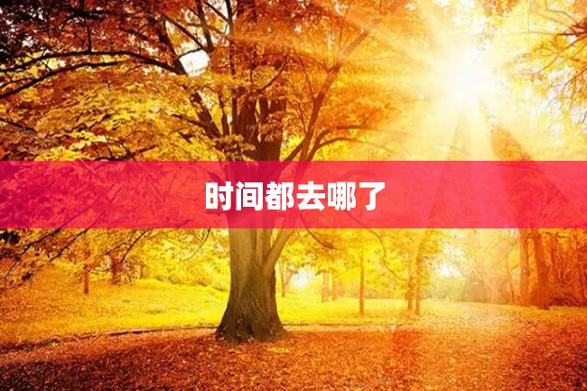 时间都去哪了