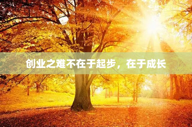 创业之难不在于起步,在于成长