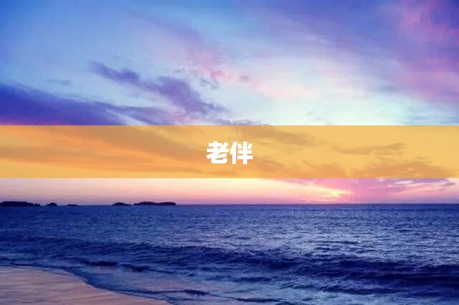 老伴