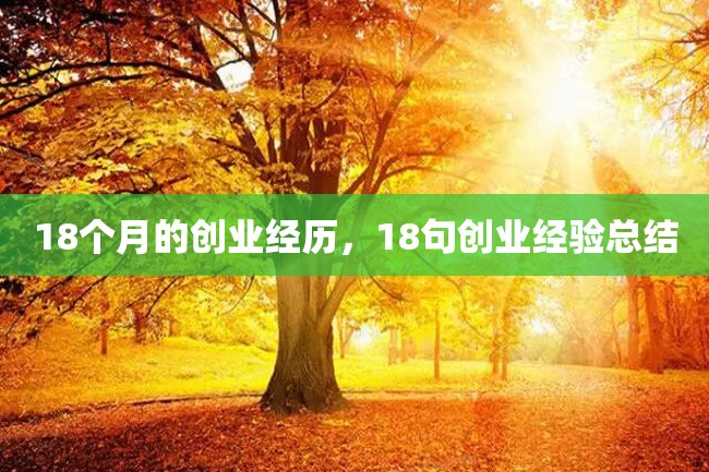 18个月的创业经历,18句创业经验总结