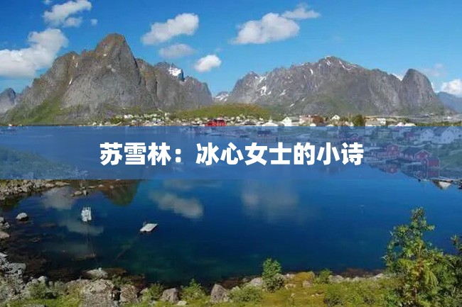 苏雪林:冰心女士的小诗