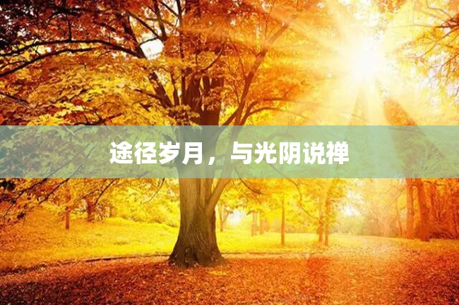 途径岁月,与光阴说禅