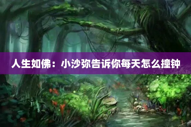 人生如佛:小沙弥告诉你每天怎么撞钟