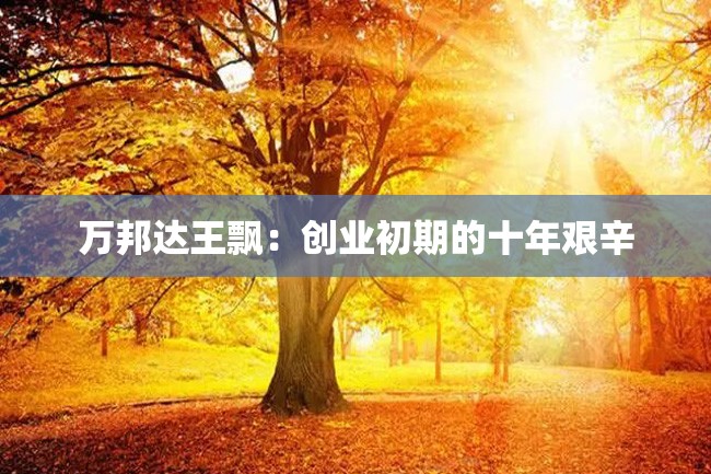 万邦达王飘:创业初期的十年艰辛