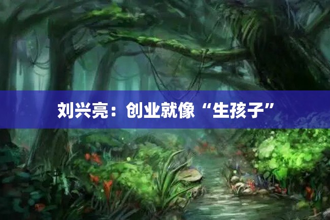 刘兴亮:创业就像“生孩子”