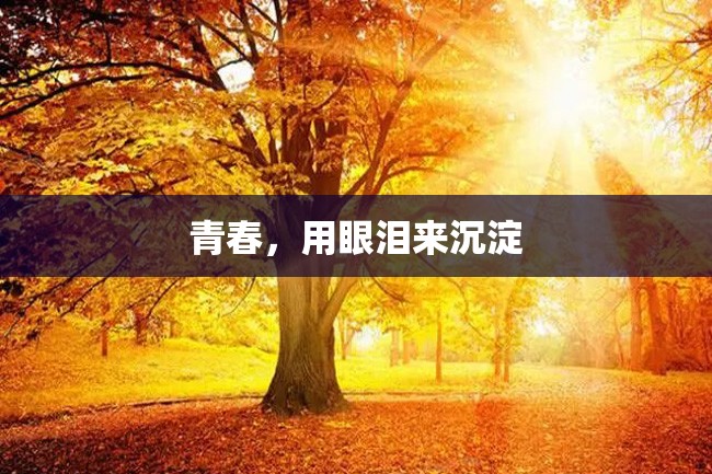 青春,用眼泪来沉淀