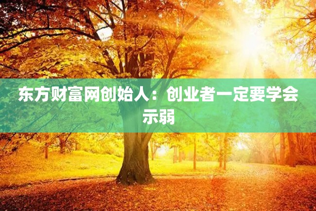 东方财富网创始人:创业者一定要学会示弱