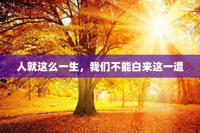 人就这么一生,我们不能白来这一遭