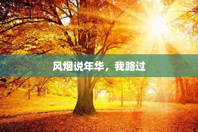 风烟说年华,我路过