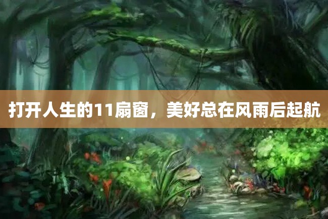 打开人生的11扇窗,美好总在风雨后起航
