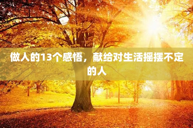 做人的13个感悟,献给对生活摇摆不定的人