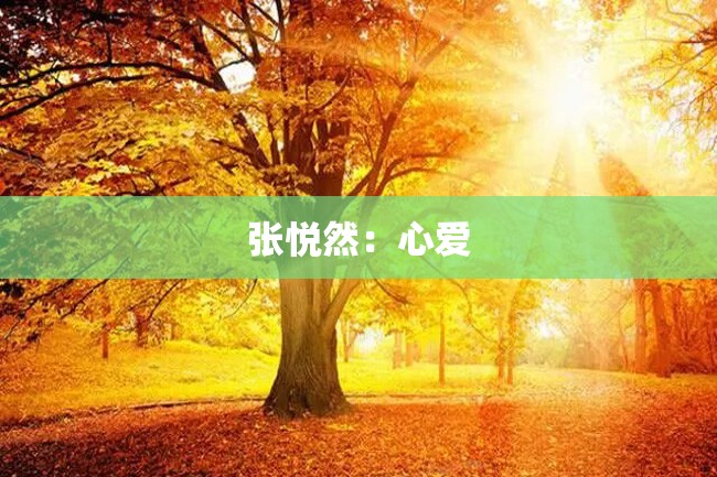 张悦然:心爱