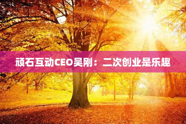 顽石互动CEO吴刚:二次创业是乐趣