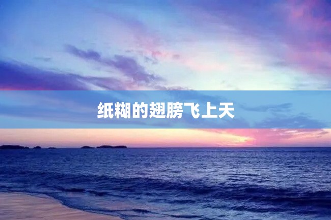 纸糊的翅膀飞上天