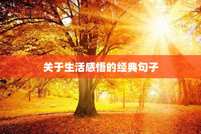 关于生活感悟的经典句子