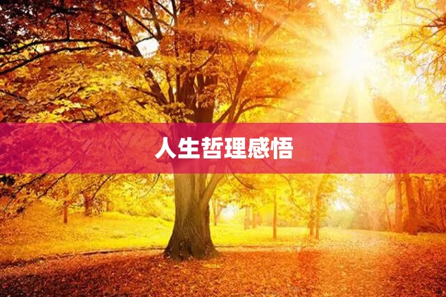 人生哲理感悟