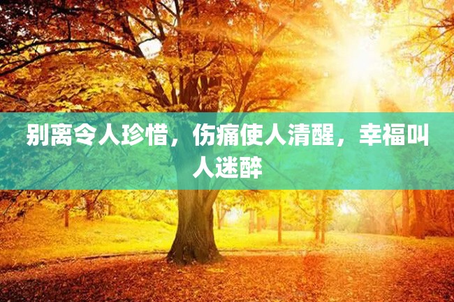 别离令人珍惜,伤痛使人清醒,幸福叫人迷醉