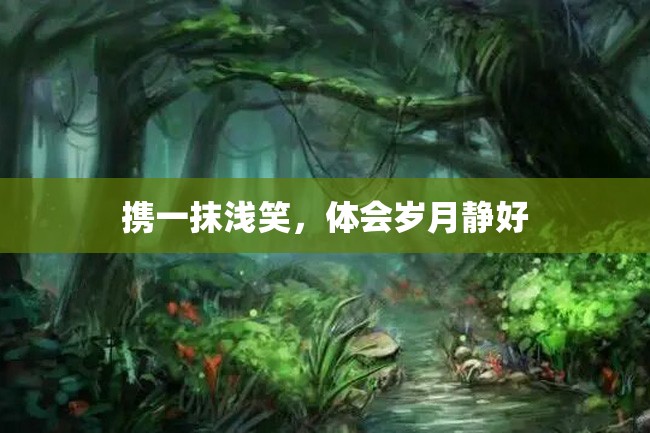 携一抹浅笑,体会岁月静好