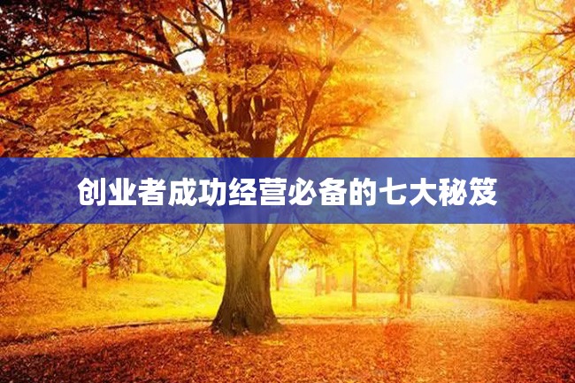 创业者成功经营必备的七大秘笈
