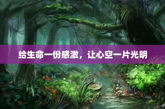 给生命一份感激,让心空一片光明